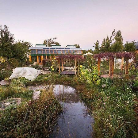 Earthship Patagonia Eco Accommodations El Bolsón Exteriér fotografie
