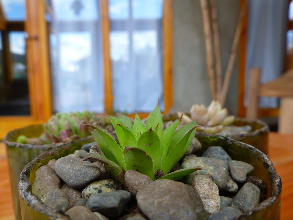 Earthship Patagonia Eco Accommodations El Bolsón Exteriér fotografie